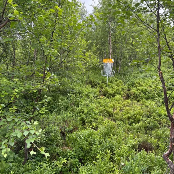 discgolf