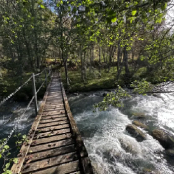foto fra koomot 