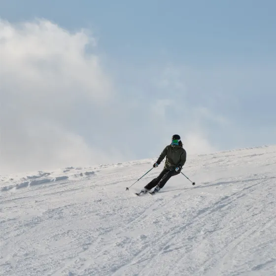 skikjører