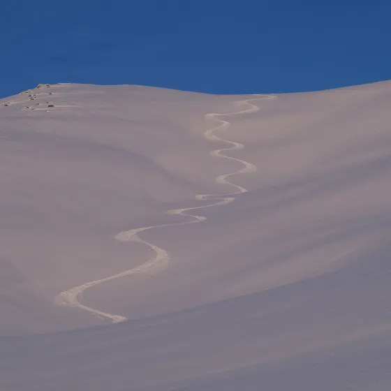 Foto: Martin Kristoffersen 