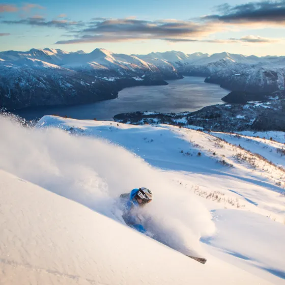 Vinter