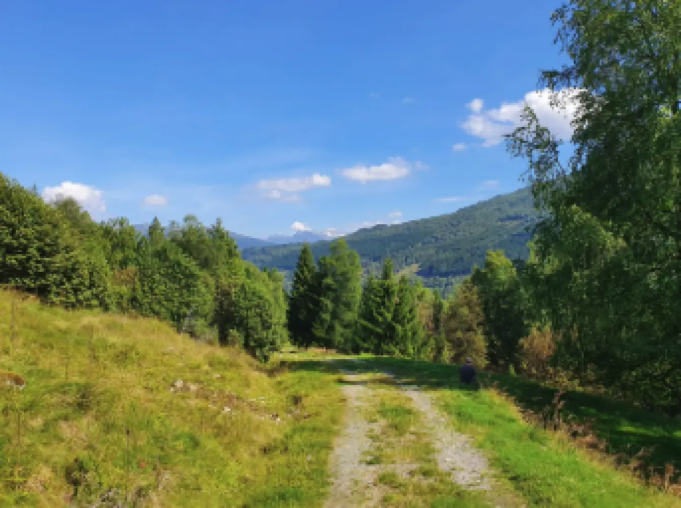 Strandafjellet-vasset