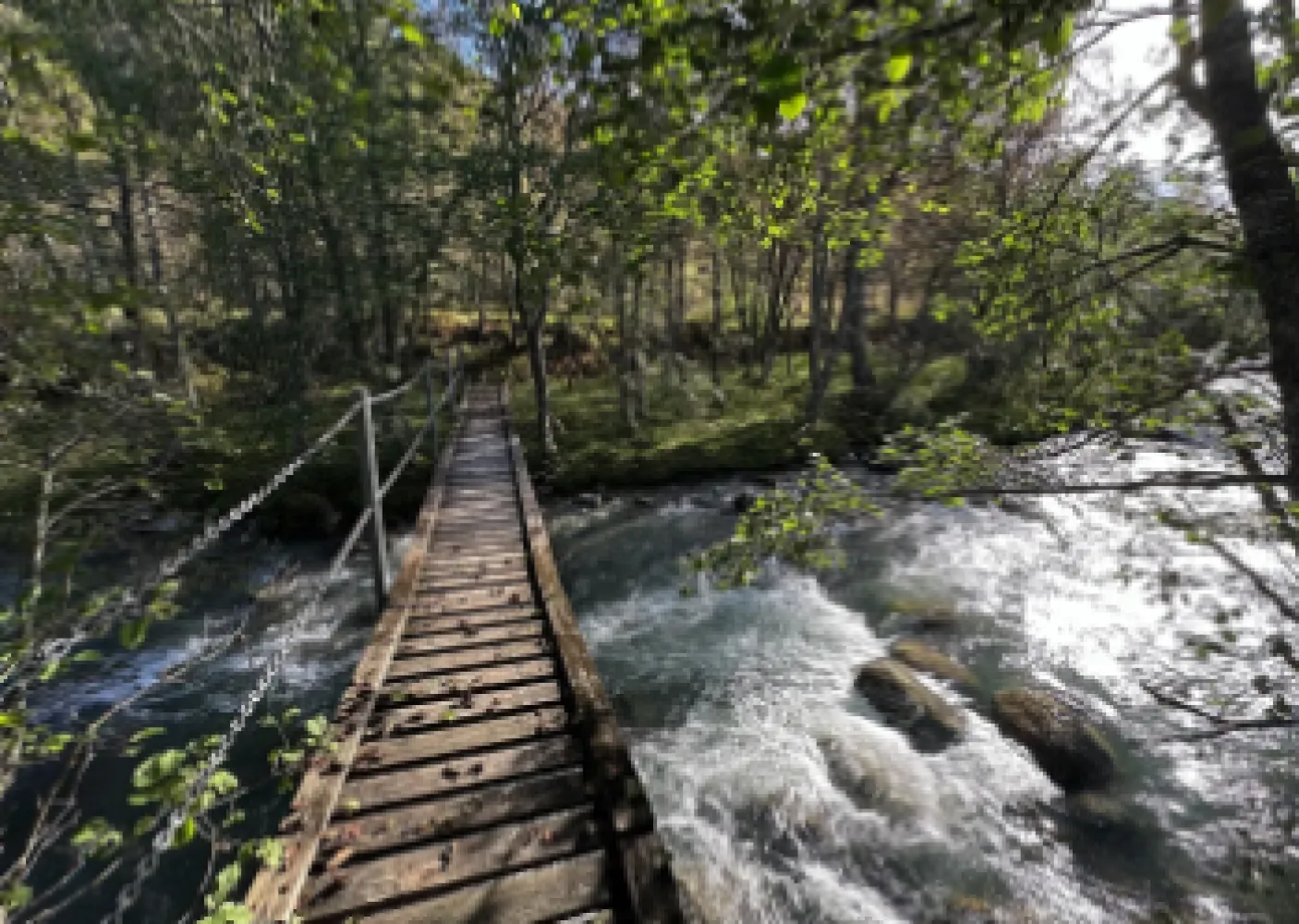 foto fra koomot 