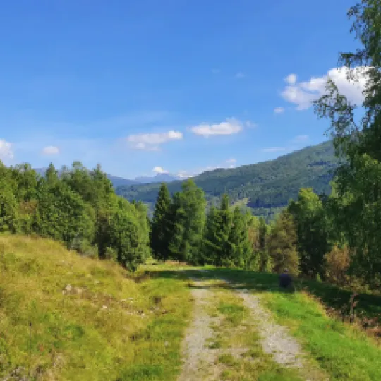 Strandafjellet-vasset