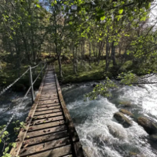 foto fra koomot 